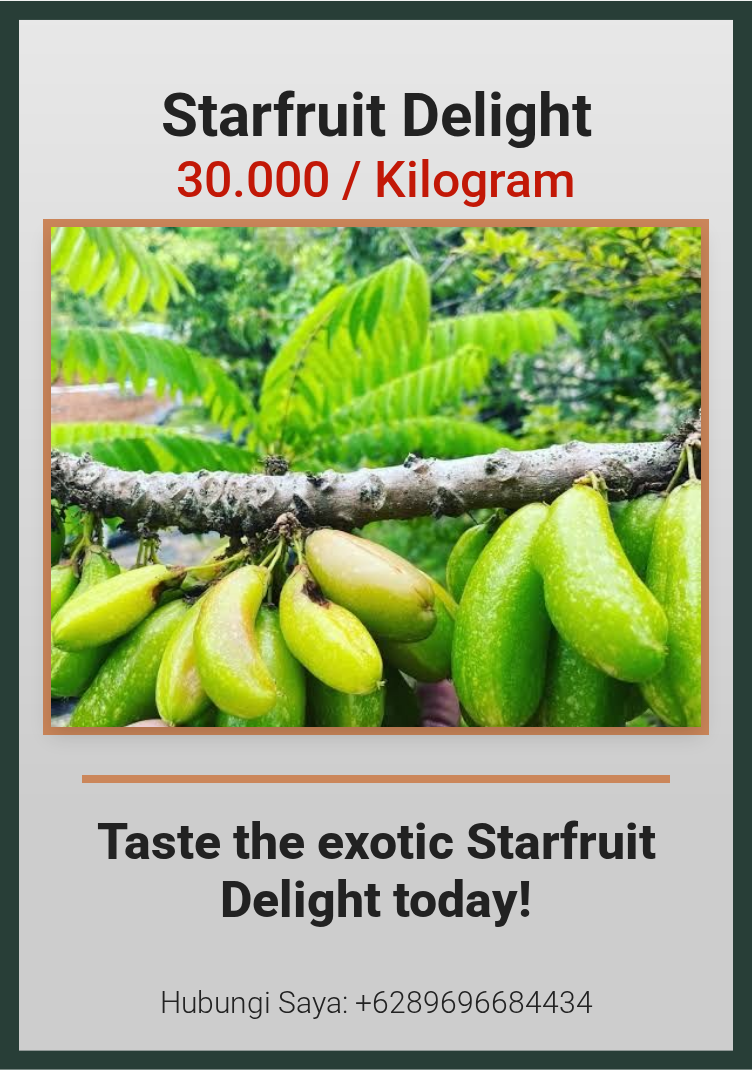 Promosi Starfruit Delight