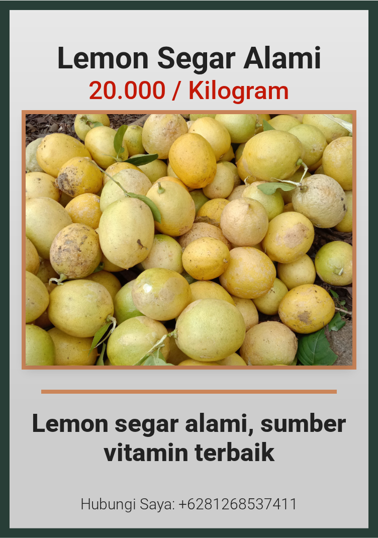 Lemon Segar Alami