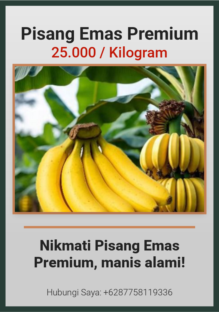 Pisang Emas Premium