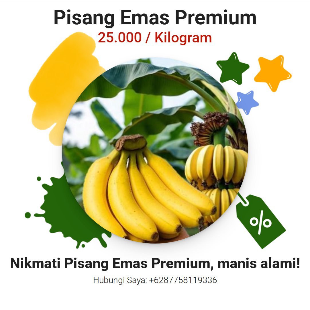 Pisang Emas Premium