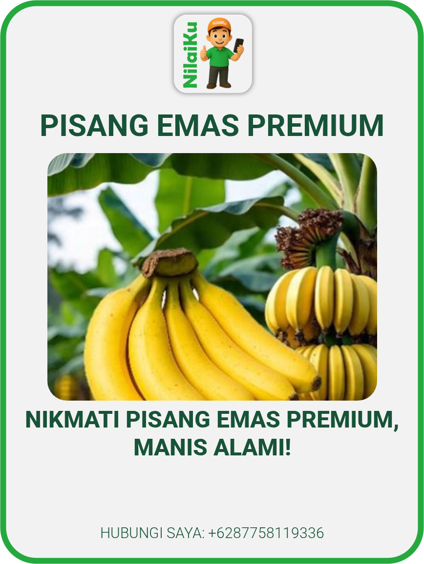 Pisang Emas Premium