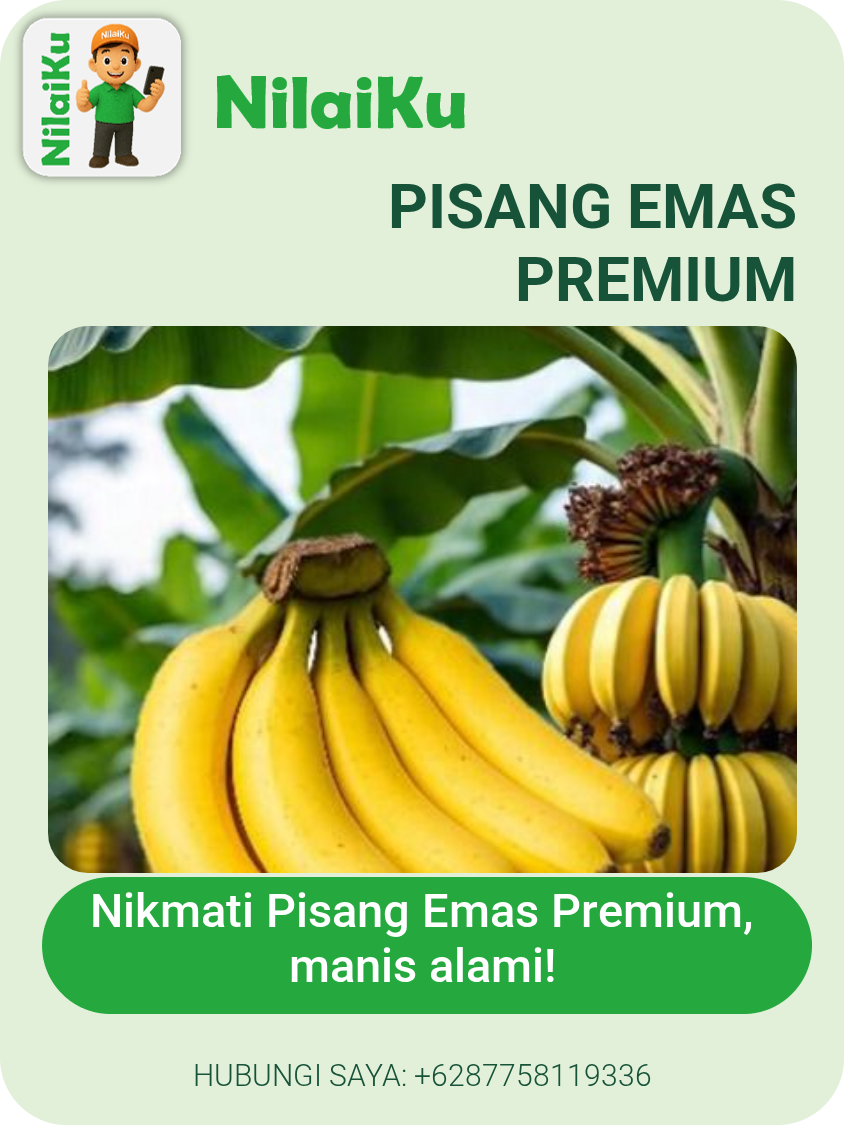 Pisang Emas Premium