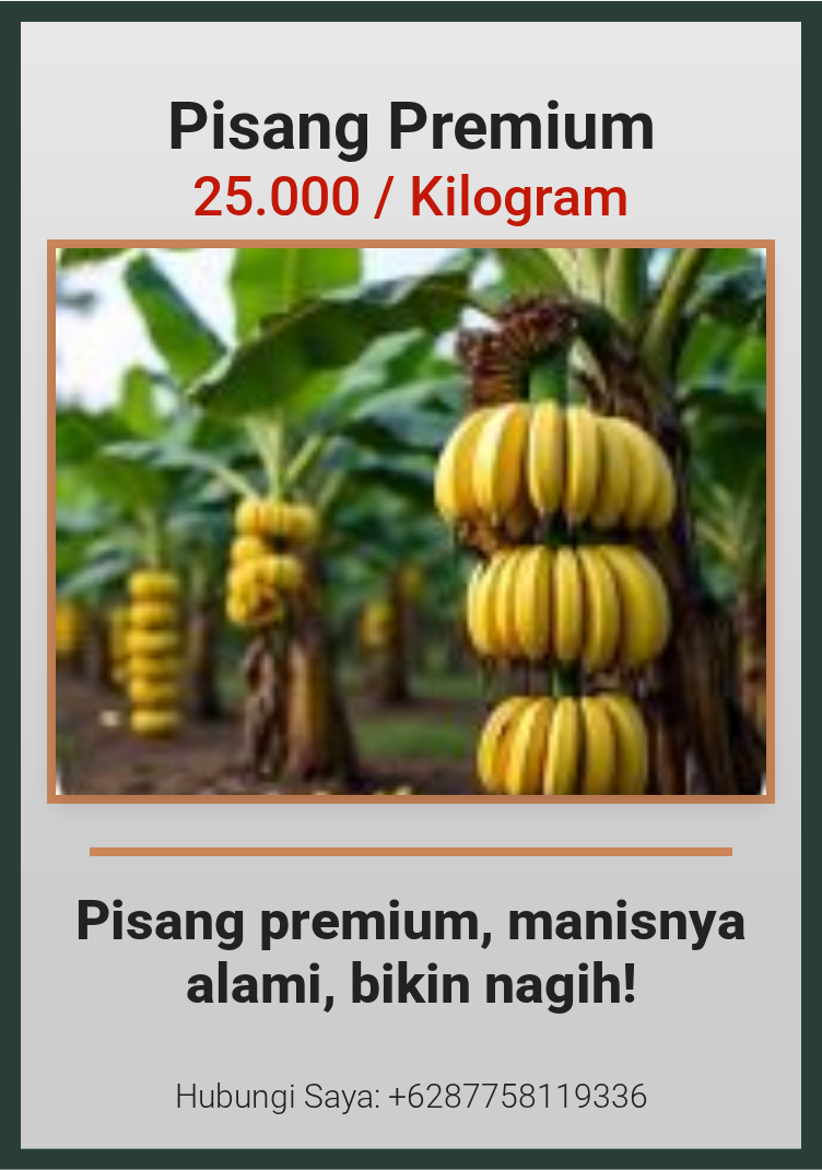 Premium Pisang Emas