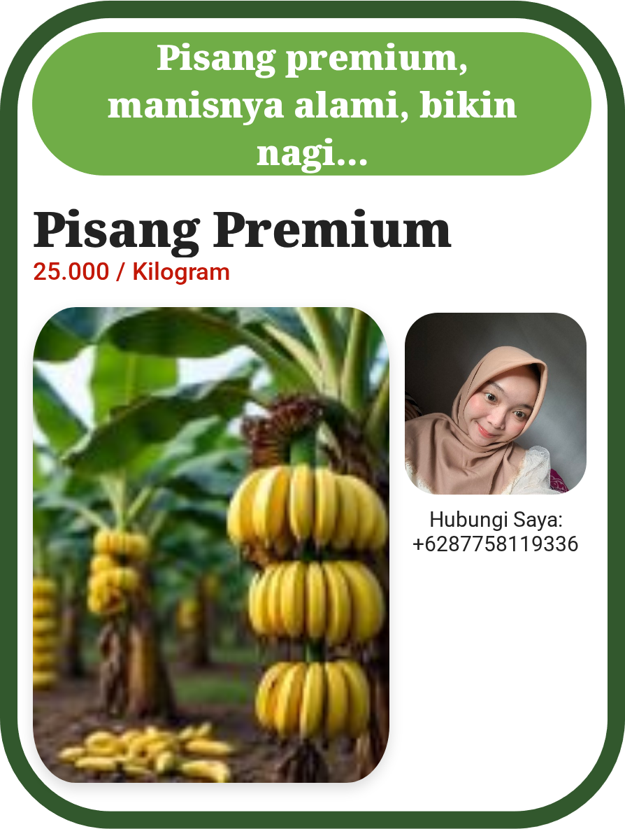 Premium Pisang Emas