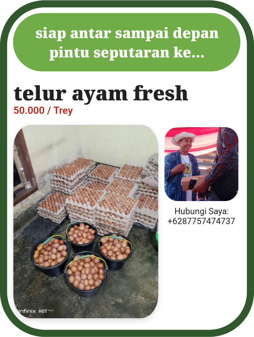 telur ayam fresh