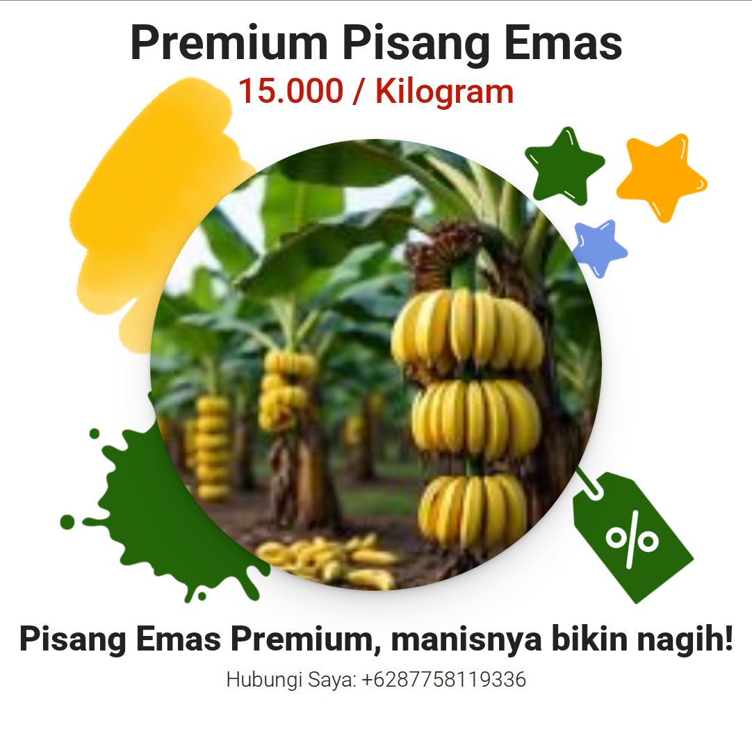 Premium Pisang Emas