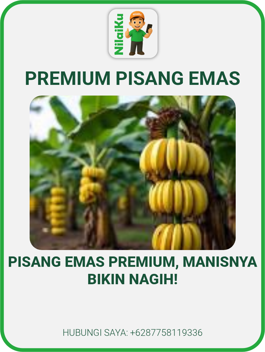 Premium Pisang Emas