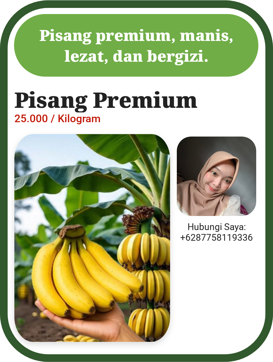 Pisang Premium