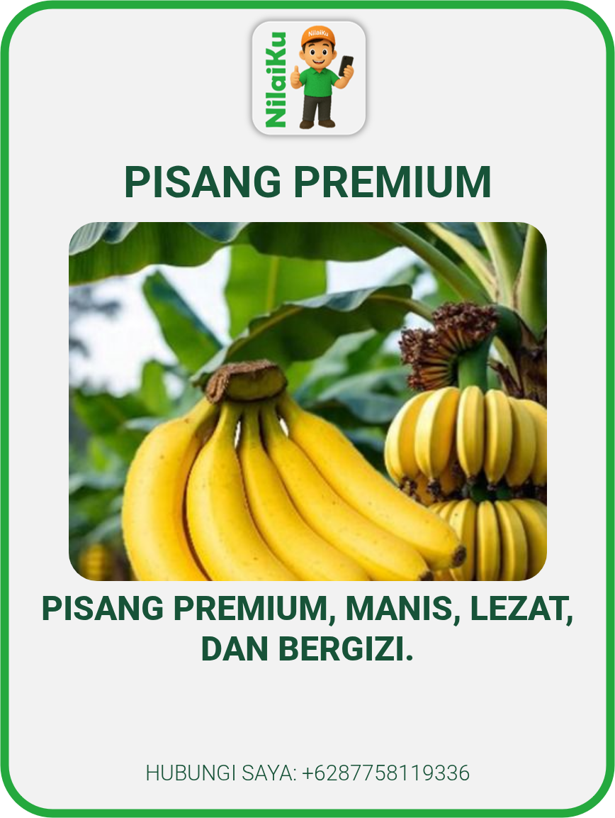 Pisang Premium