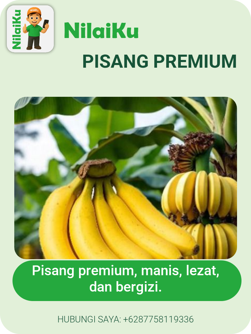Pisang Premium