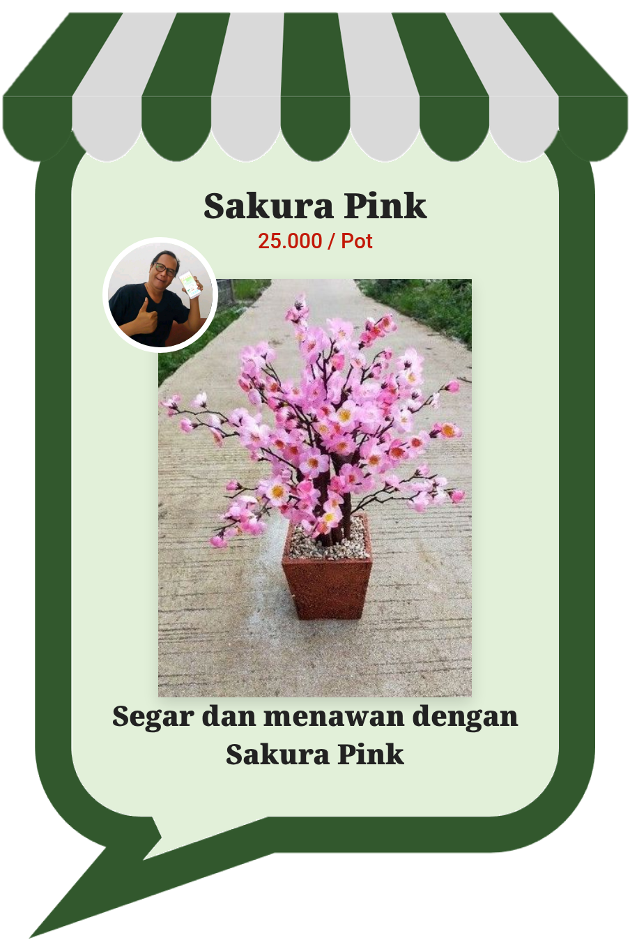 Sakura Pink