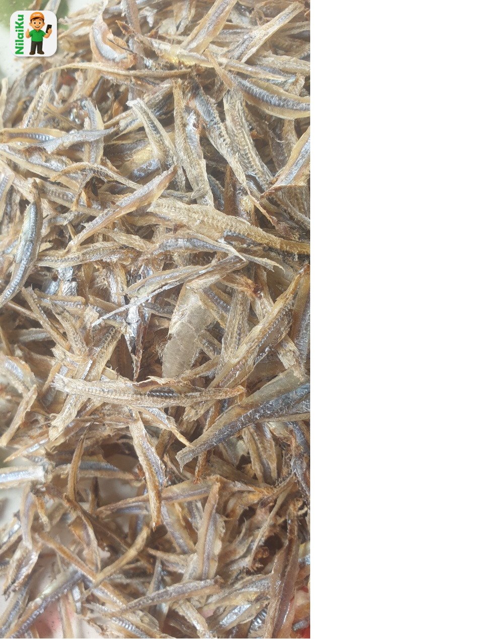 Promosi Ikan Teri belah Premium