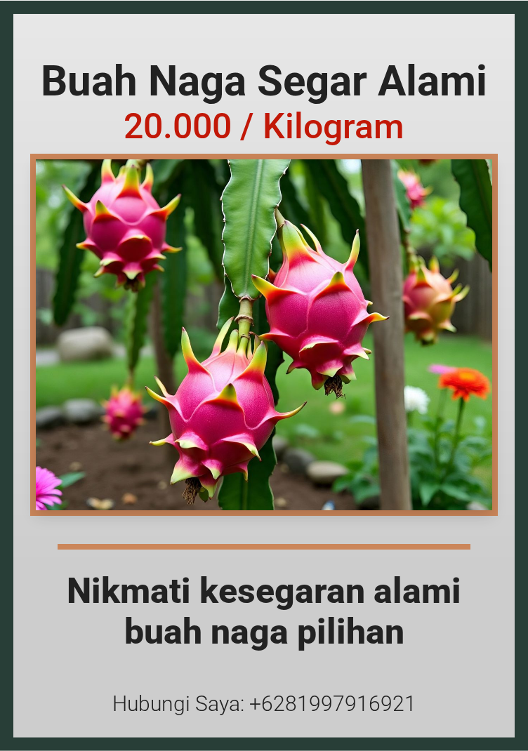 Buah Naga Segar Alami