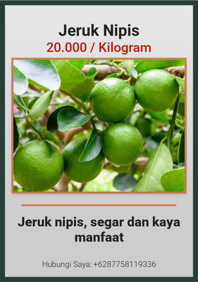 Jeruk Nipis Segar