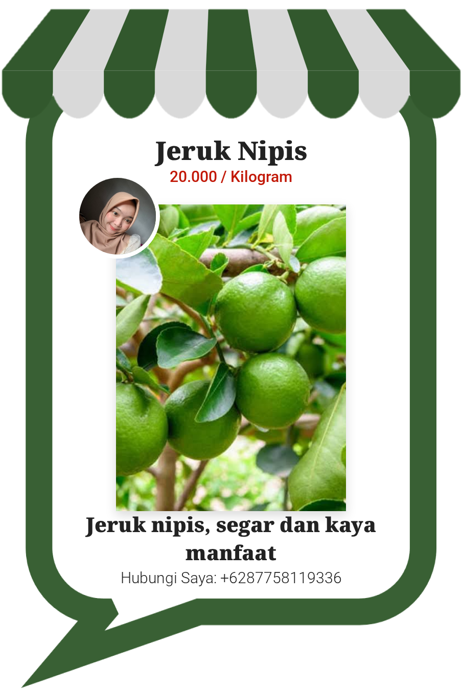 Jeruk Nipis Segar