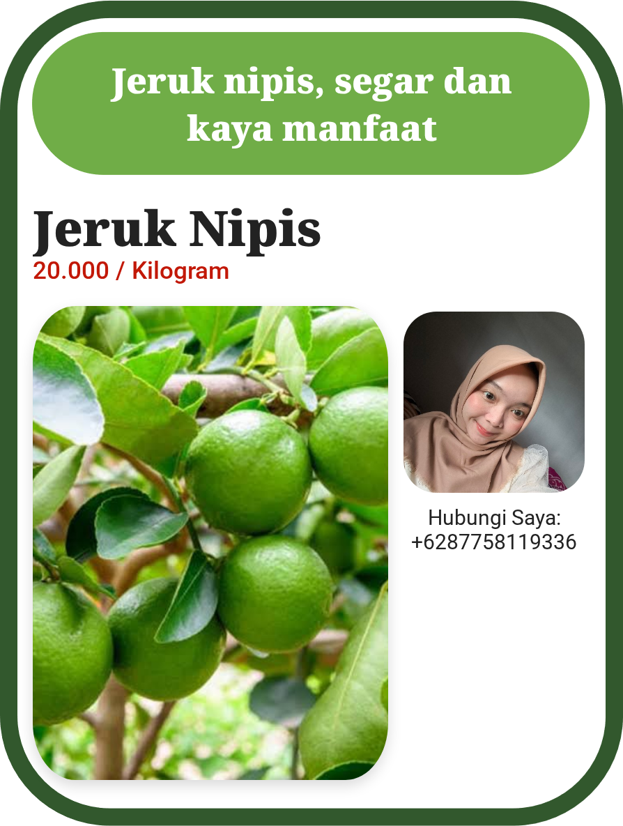 Jeruk Nipis Segar