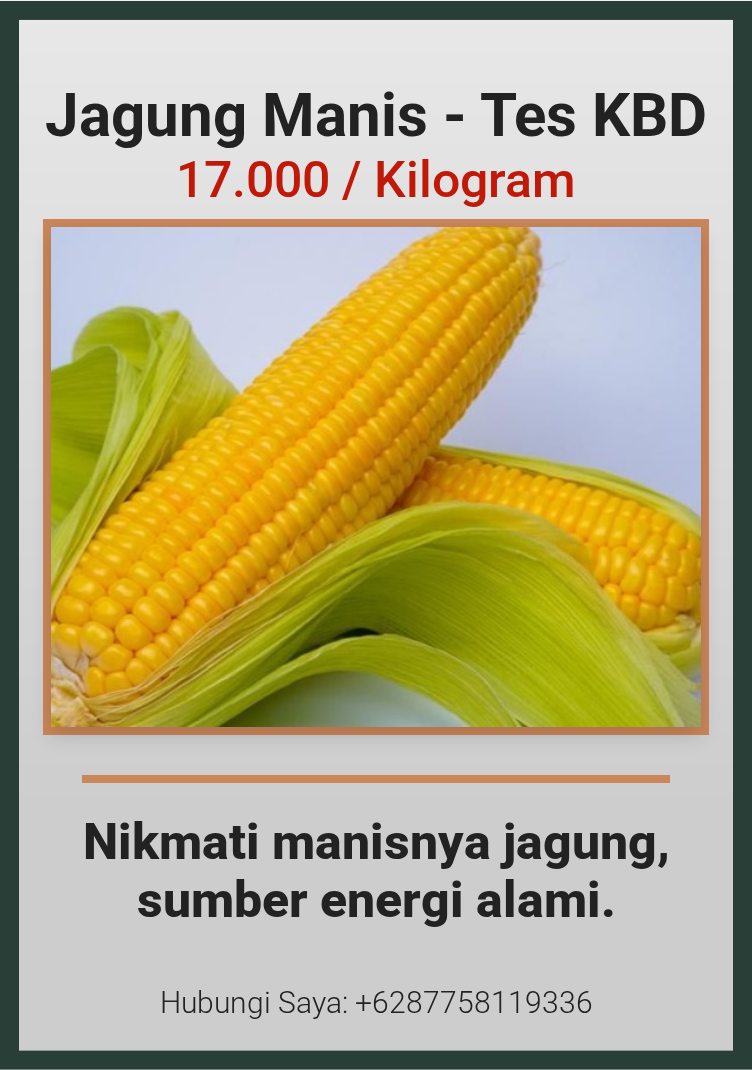 Jagung Manis - Tes KBD