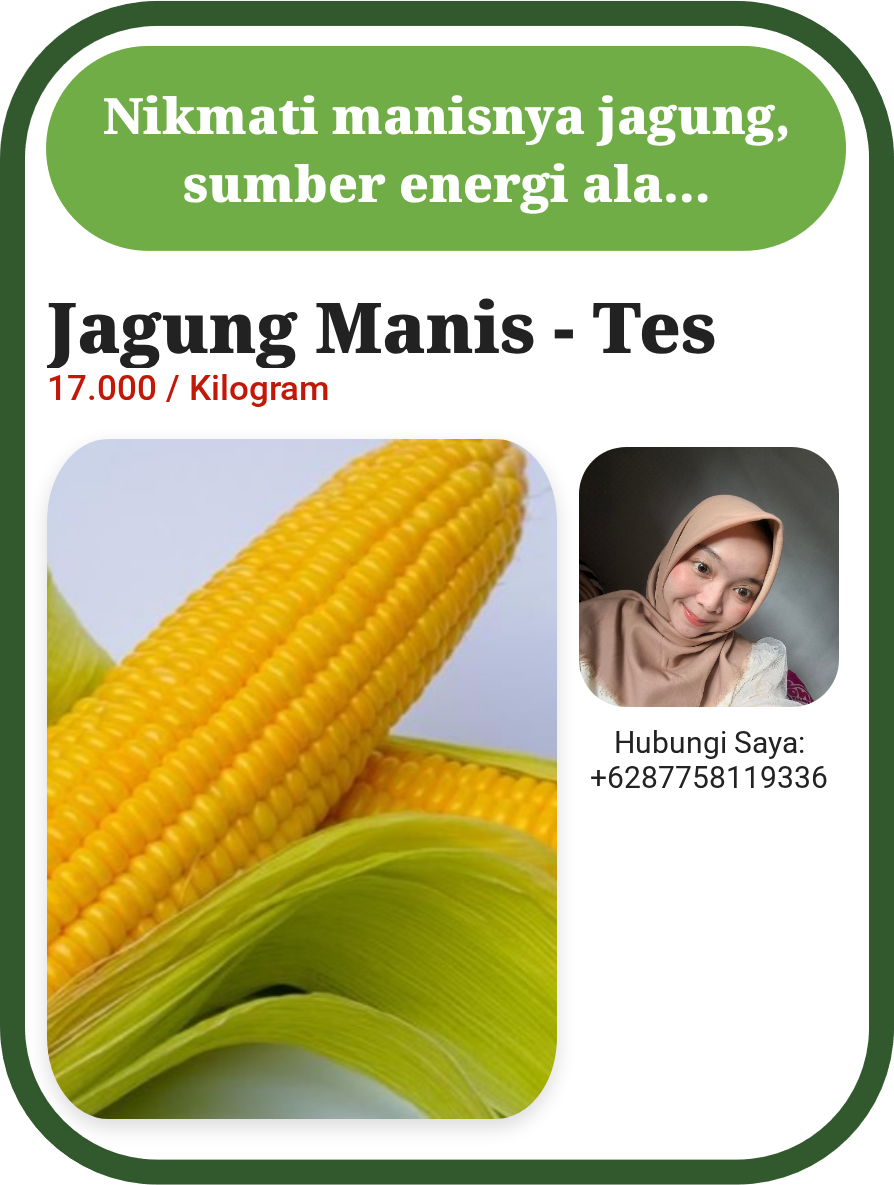 Jagung Manis - Tes KBD
