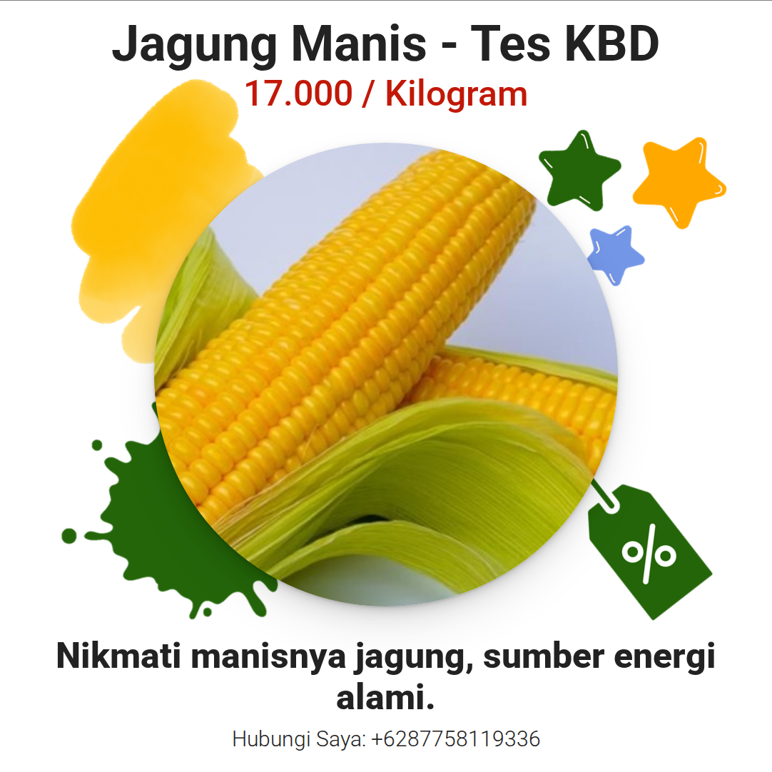 Jagung Manis - Tes KBD