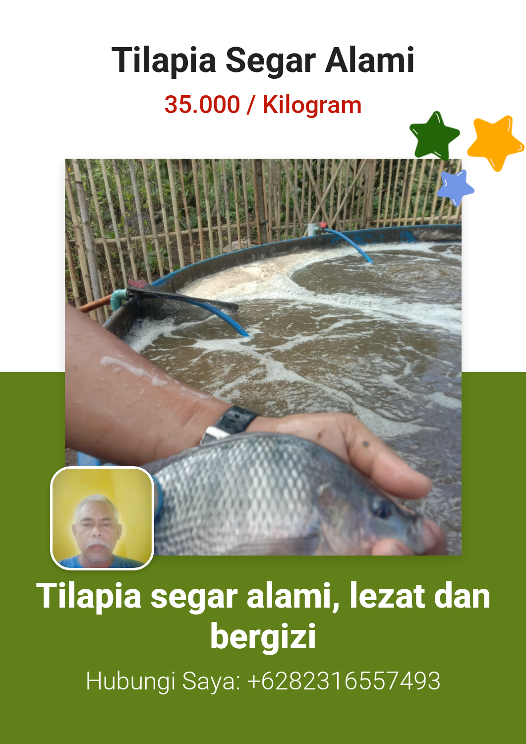 Tilapia Segar Alami