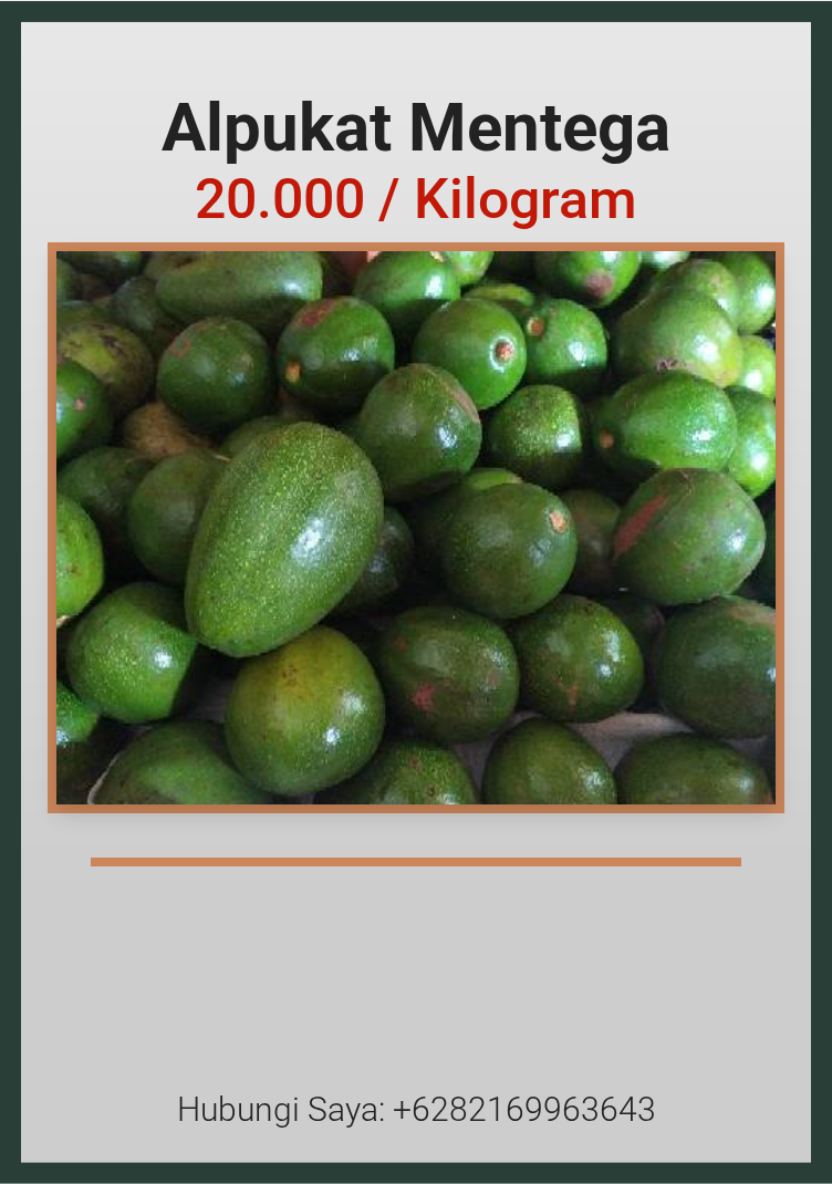 Alpukat Mentega