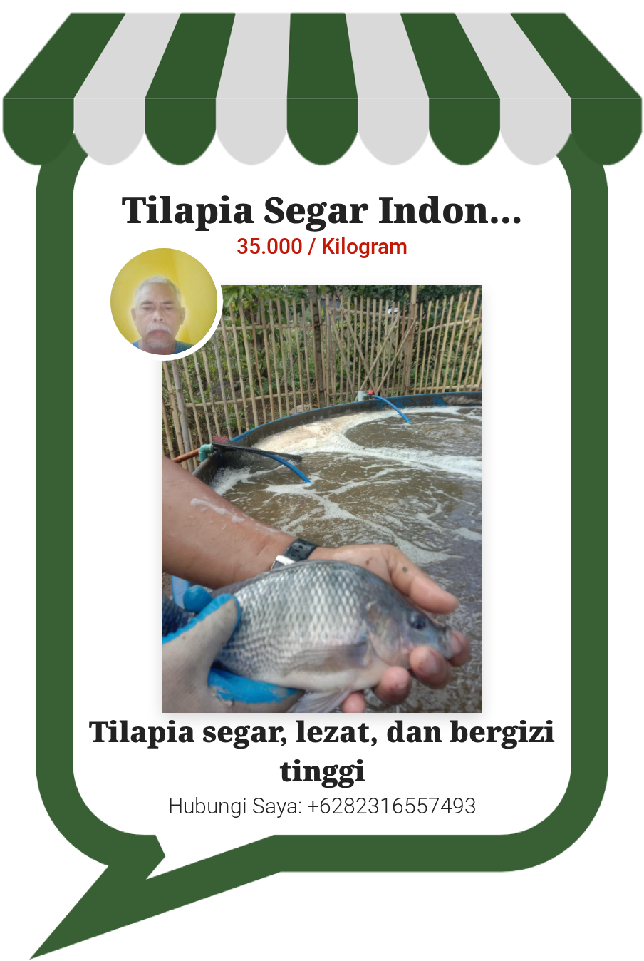 Tilapia Segar Indonesia