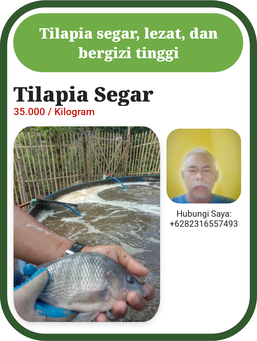Tilapia Segar Indonesia