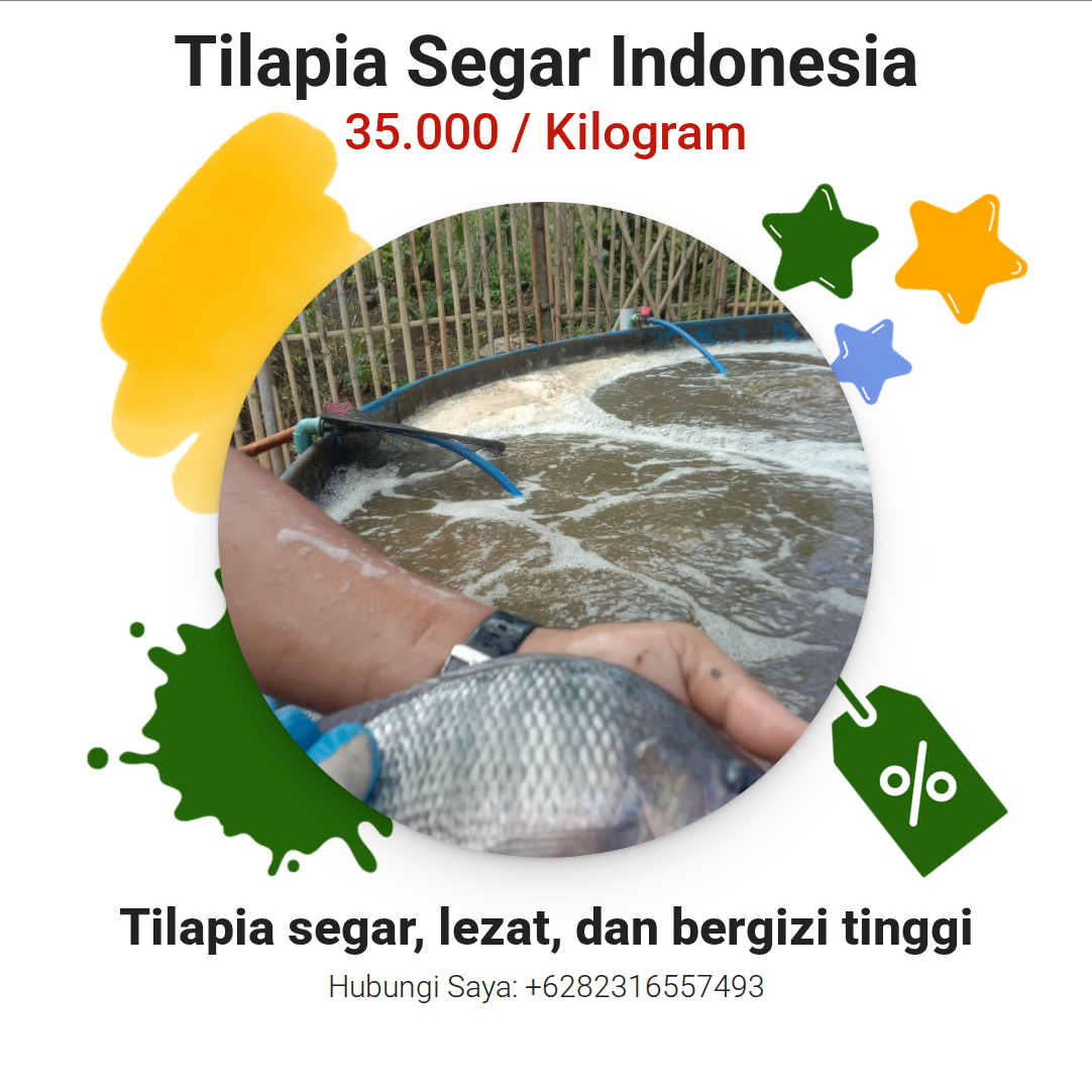 Tilapia Segar Indonesia
