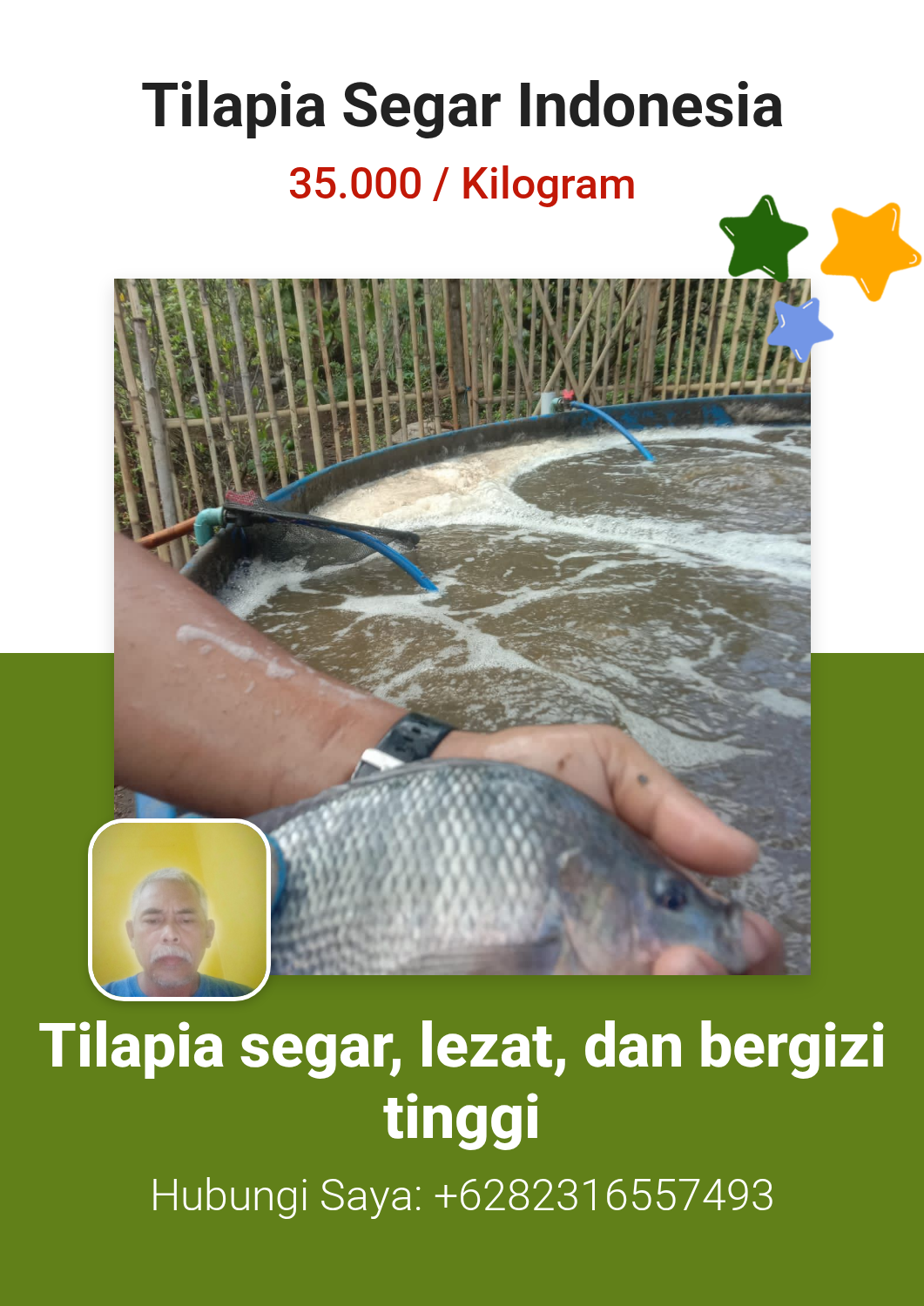 Tilapia Segar Indonesia