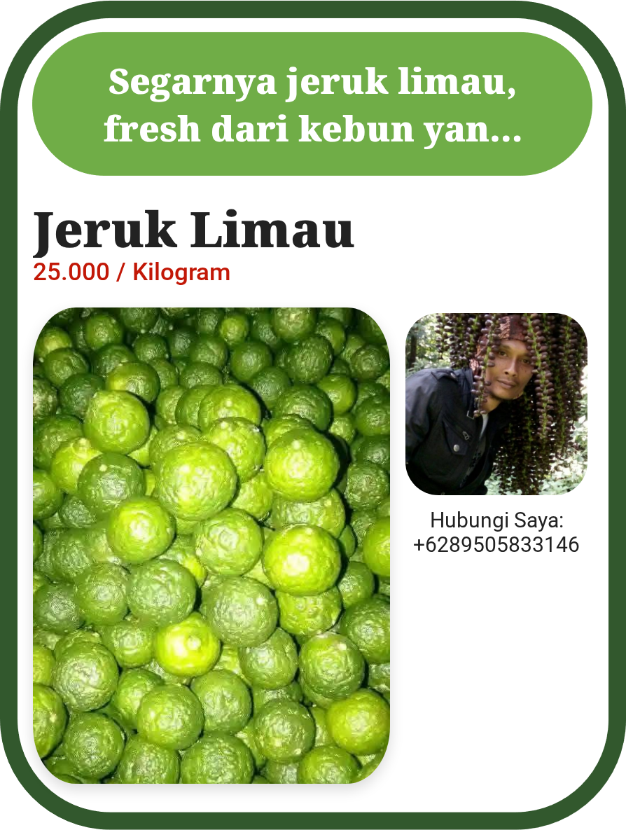 Jeruk Limau